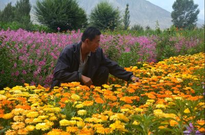 金佛寺鎮(zhèn)花卉種植基地 黨建引領(lǐng)下的豆類產(chǎn)業(yè)新篇章
